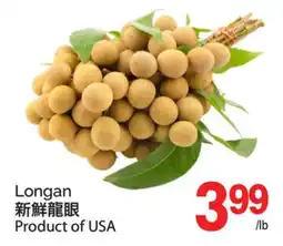 T&T Supermarket LONGAN offer