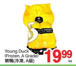 T&T Supermarket YOUNG DUCK offer