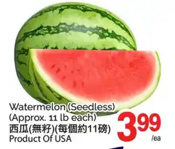 T&T Supermarket WATERMELON offer