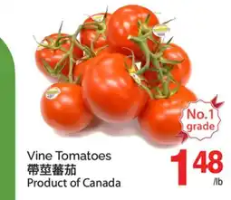 T&T Supermarket VINE TOMATOES offer