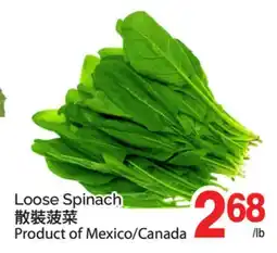 T&T Supermarket LOOSE SPINACH offer