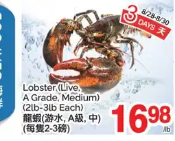 T&T Supermarket LOBSTER offer