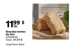 Michaels Grandes botes de foin d'Ashland offer