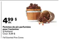 Michaels Pommes de pin parfumées pour l'automne d'Ashland offer