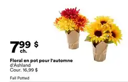 Michaels Floral en pot pour l'automne d'Ashland offer