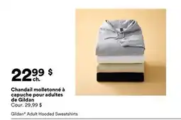 Michaels Chandail molletonné à capuche pour adultes de Gildan offer