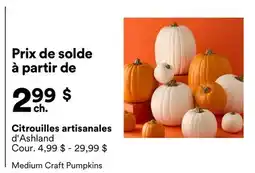 Michaels Citrouilles artisanales d'Ashland offer