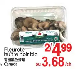 T&T Supermarket PLEUROTE HUÎTRE NOIR BIO offer
