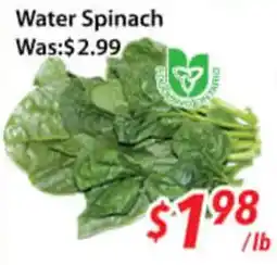 Ample Food Market Water Spinach offer