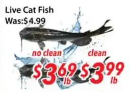 Ample Food Market Live Cat Fish offer
