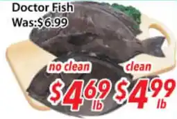 Ample Food Market Doctor Fish offer