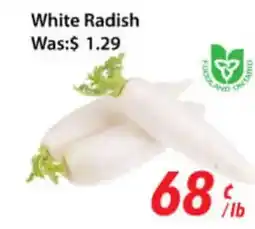 Ample Food Market White Radish offer