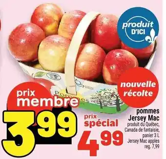 Jersey Mac apples