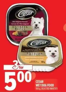 Metro Cesar wet dog food offer