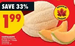 No Frills Cantaloupe offer