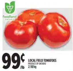 Metro Local field tomatoes offer