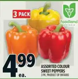 Metro Foodland assorted colour sweet peppers offer
