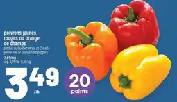 Metro yellow red or orange field peppers offer