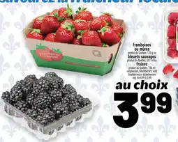 Metro frambueses ou mures ou bleuets sauvages ou fraises offer