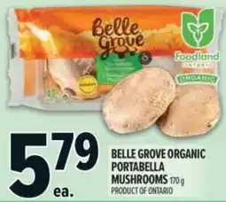 Metro Belle Grove organic portabella mushrooms offer