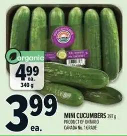 Metro Mini Cucumbers offer