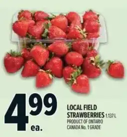 Metro Local field strawberries offer