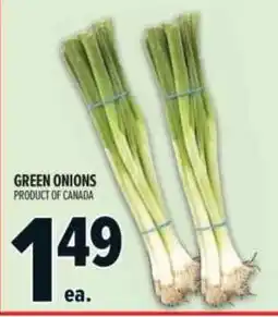 Metro Green onions offer