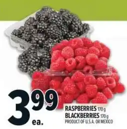 Metro Raspberries Blackberries offer
