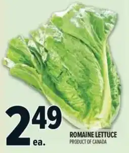 Metro Romaine Lettuce offer