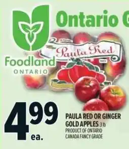 Metro Paula Red or Ginger Gold Apples offer