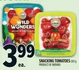 Metro Wild Wonders snacking tomatoes offer