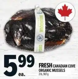 Metro Canadian cove organic mussels offer