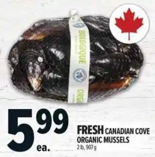 Canadian cove organic mussels