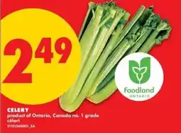 No Frills celery offer