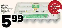 Metro Selection white eggs offer