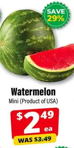 Iqbal Foods Watermelon Mini offer