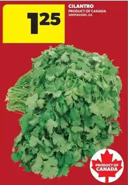 Real Canadian Superstore Cilantro offer