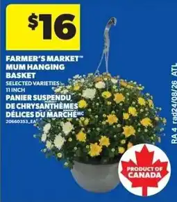 Real Canadian Superstore Farmer's Market Mum Hanging Basket offer