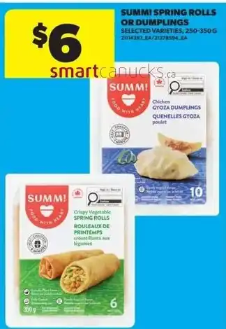 Summi spring rolls or dumplings