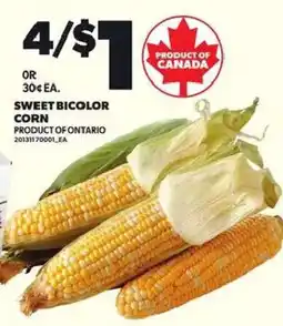 Loblaws sweet bicolor corn offer