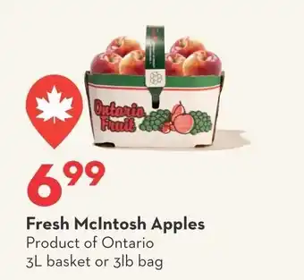 Fresh McIntosh Apples