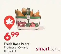 Longo's Fresh Bosc Pears offer