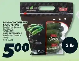 IGA Farmers mini cucumbers offer