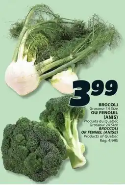 IGA Broccoli or Fennel (Anise) offer