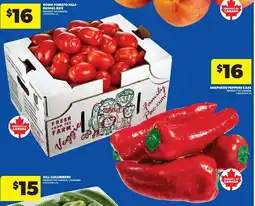 Real Canadian Superstore Roma tomato half bushel box offer