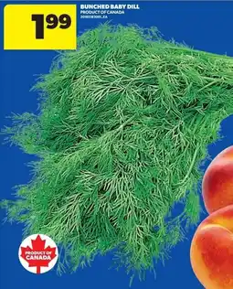 Real Canadian Superstore Bunched Baby Dill offer