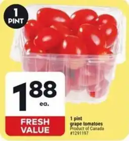 Giant Tiger grape tomatoes offer