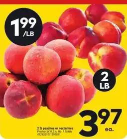 Giant Tiger peaches or nectarines offer