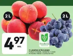 Giant Tiger Foodland peaches or blue grapes offer
