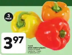 Giant Tiger sweet rainbow peppers offer